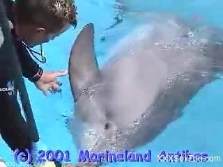 Dolphin porn video with amateur trainer enoying the penis