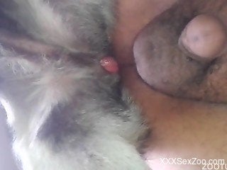 Awesome anal penetration in crazy as hell animality XXX action