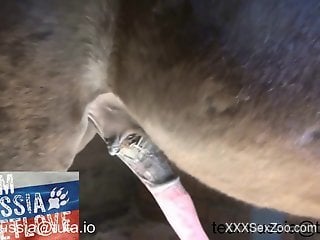 Pasty blonde in black lingerie worships a stallion cock