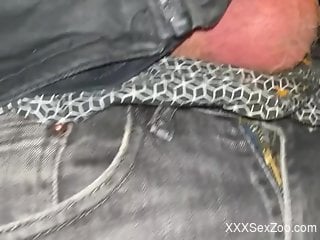 Dude with a perfect cock getting licked thoroughly by a horse