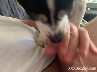 Dude with an uncut cock is going to enjoy a BJ