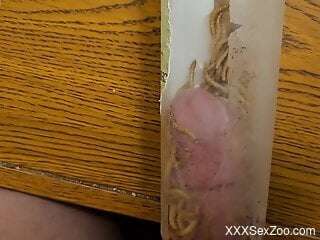 Man inserts cock in a jar packed with worms